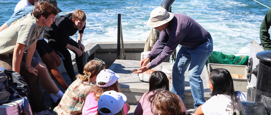 Students on research cruise, looking at wildlife