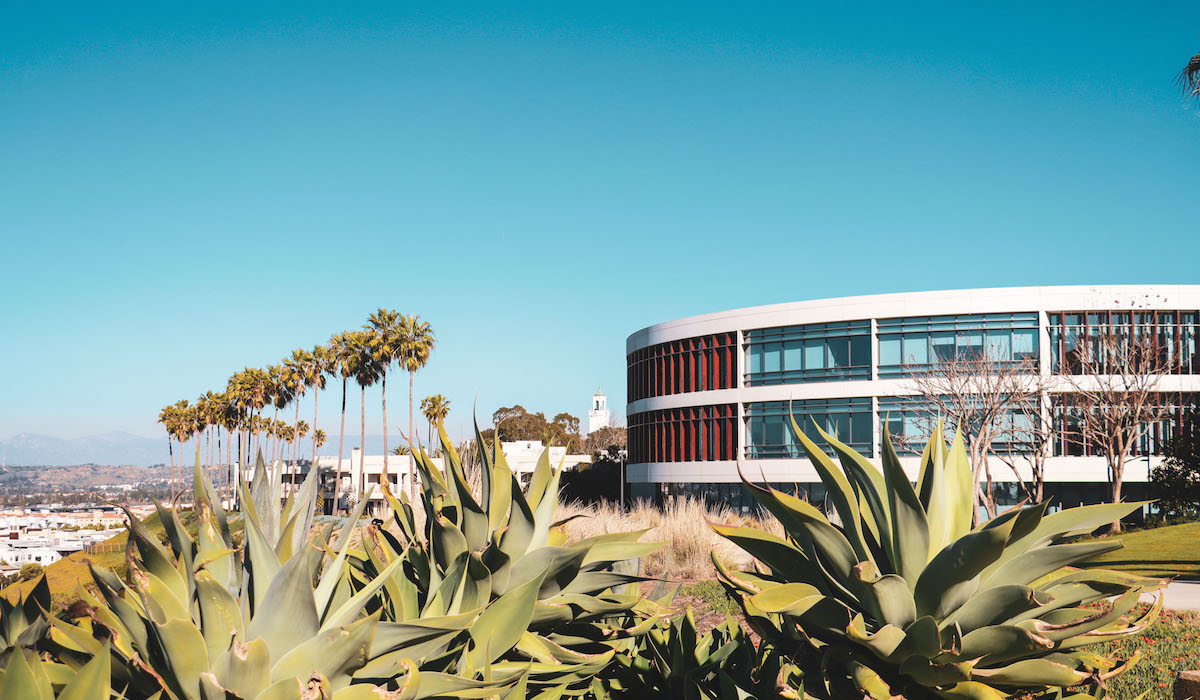 LMU's Hannon library sitting on the bluff with the sky and Californian plants in the background and foreground.