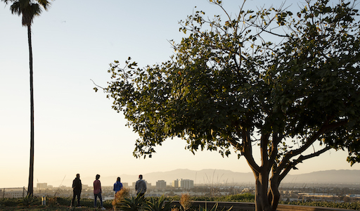 Students overlooking the LMU bluff.