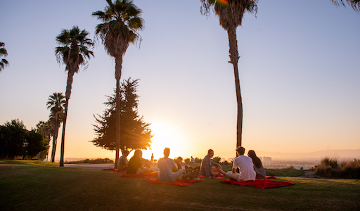 LMU bluff