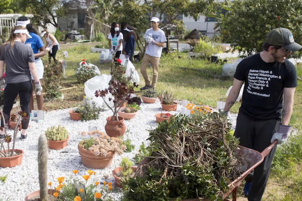 Students doing gardening.